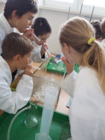 /album/a20181/p1010010-small-jpg25/